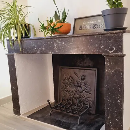 Maison De Charme Avec Jardin * Lespignan